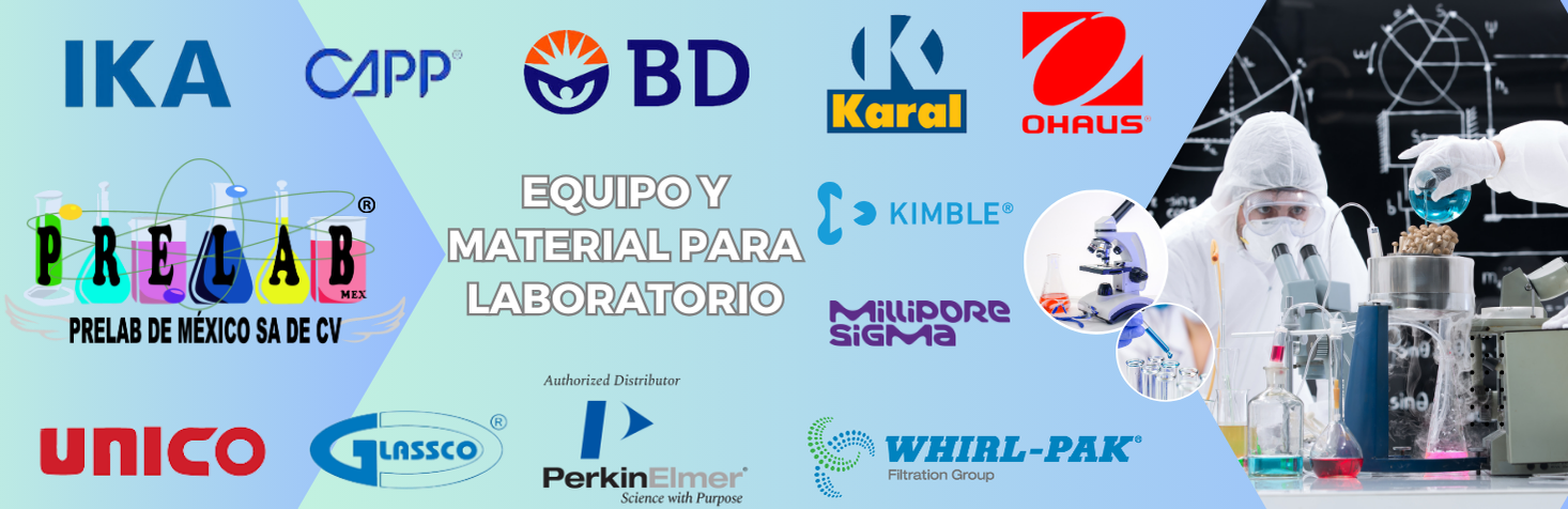 Imagen 5
